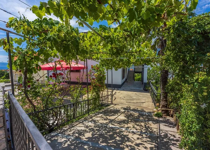 Tus A2 크리크베니카